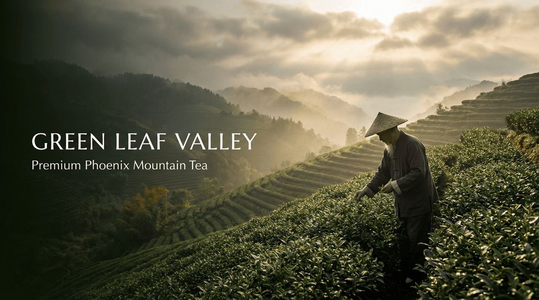 How to Brew Tea: Matcha, Green Tea, Black Tea & Oolong Brewing Guide - Greenleafvalley