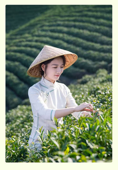 High - Mountain Maojian Green Tea | Pure Antioxidant Detox Healthy Matcha Tea