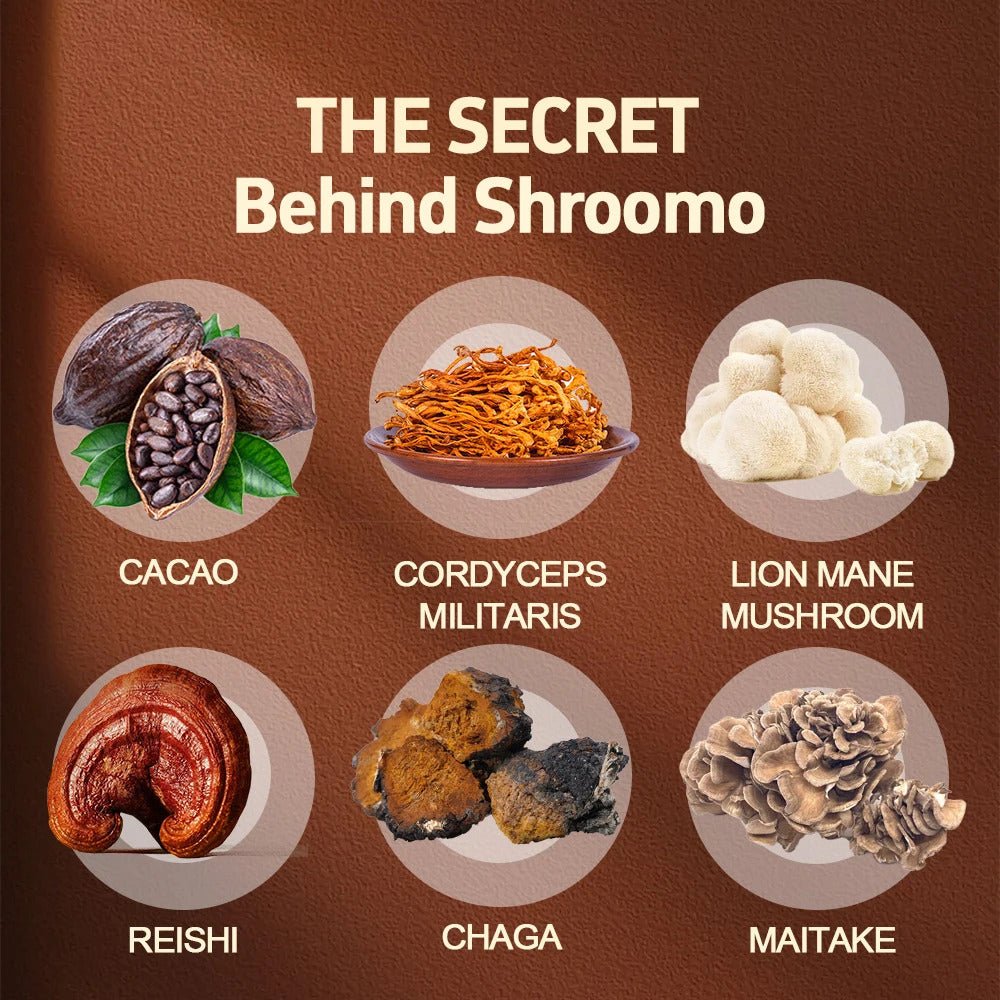 Hot Sale Mushroom Coffee Blend with Reishi Cordyceps Lions Mane Turkey Tail Healthy Matcha Tea