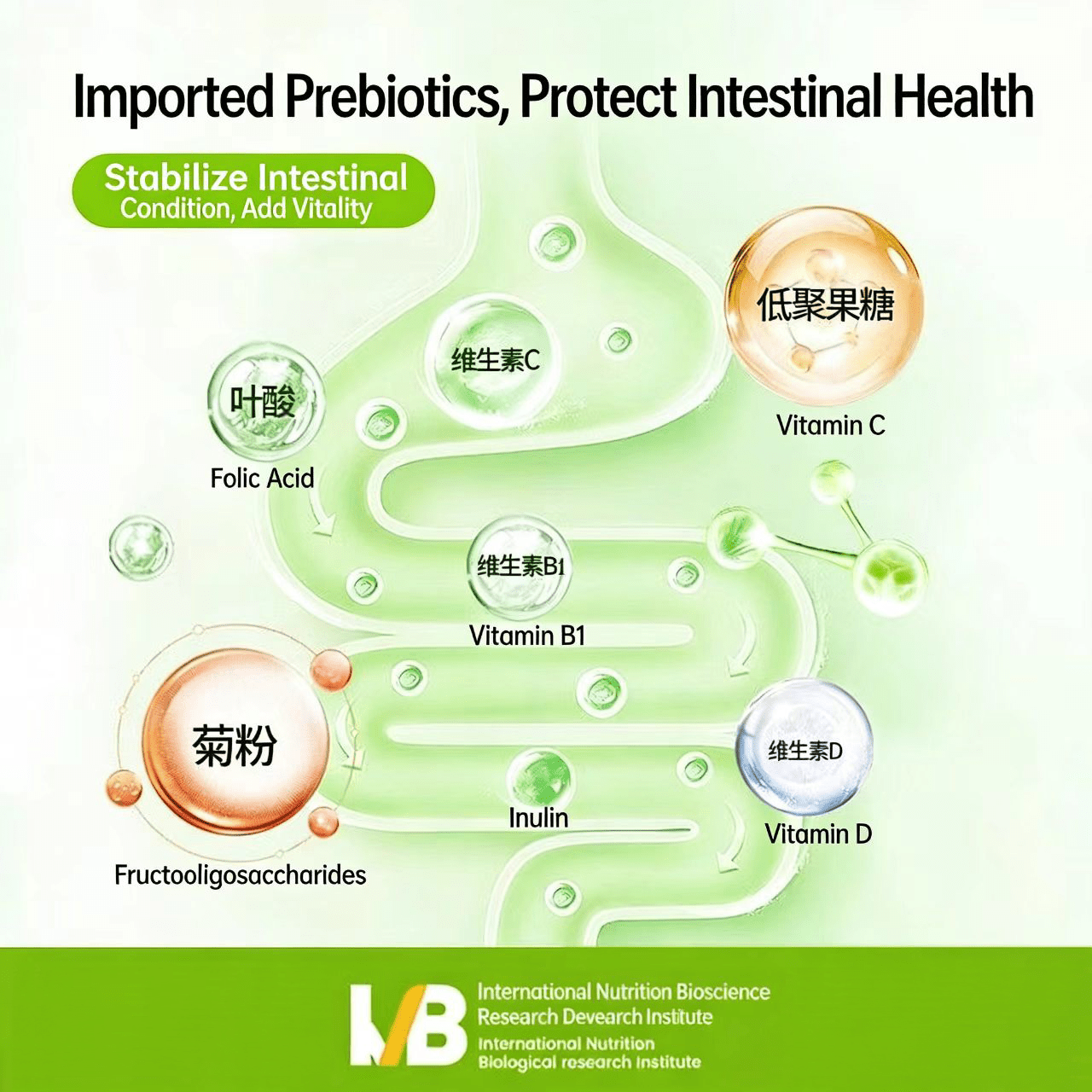 Prebiotic Greens Fiber Blend – Barley Grass Superfood MATCHA Healthy Matcha Tea